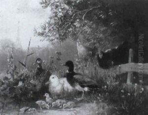Enten Mit K_ken Am Wasser Enten Mit K_ken Am Wasser