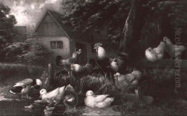 Hahn, Huhner Und Enten Am Teich - view 1