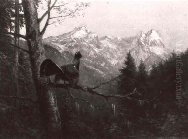 Balzender Auerhahn Auf Einem Zweig In Gebirgslandschaft - view 1
