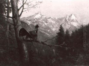 Balzender Auerhahn Auf Einem Zweig In Gebirgslandschaft