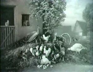 Pfau, Truthahn, Hahn, Huhner Und Kuken Auf Dem Mist...
