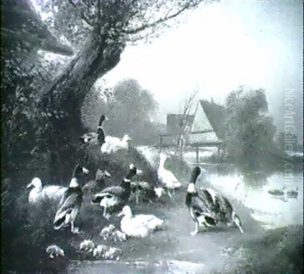Hahn, Huhner Und Truthahn Vor Dem Stall; Und Enten Am Teich - view 1