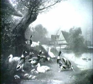 Hahn, Huhner Und Truthahn Vor Dem Stall; Und Enten Am Teich thumbnail