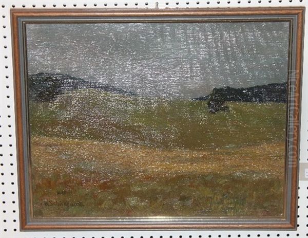 Feld- Und Wiesenlandschaft - view 1