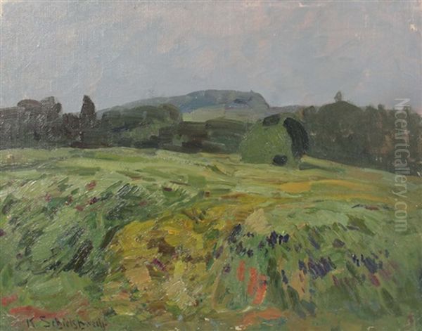 Schwabische Sommerlandschaft - view 1