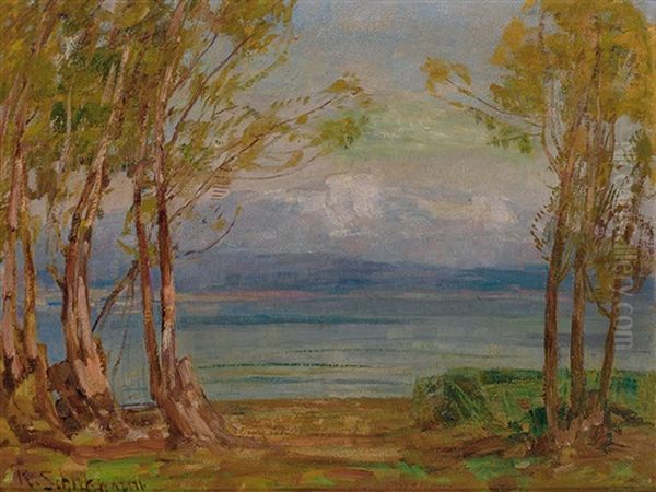 Uferstuck Am Bodensee - view 1