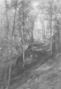 Waldlandschaft