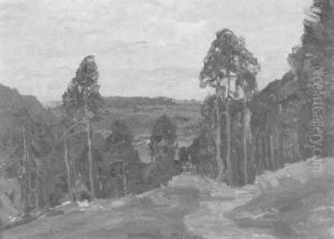 Blick Von Erhohter Warte Auf Einen Tannenwald