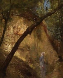 In Der Waldschlucht - Die Waldschlucht Bei Ettal In Der Waldschlucht - Die Waldschlucht Bei Ettal