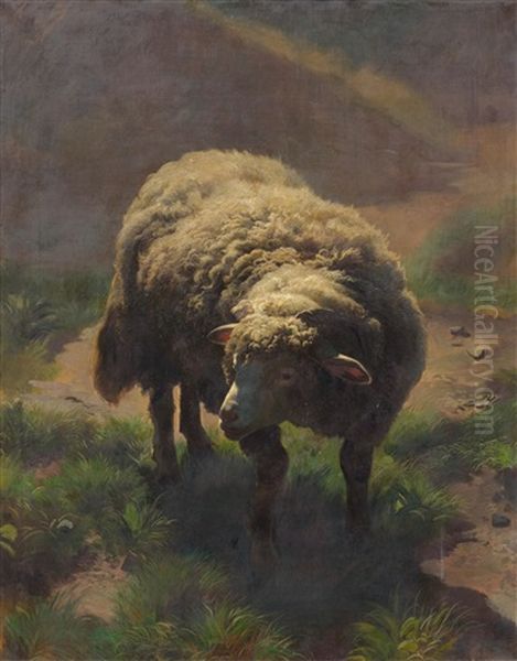 Sheep On The Pasture - view 1