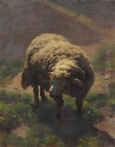 Sheep On The Pasture by Traugott Schiess