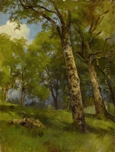 Landschaft Mit Birken