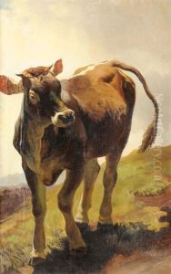 Rind Auf Der Weide by Traugott Schiess