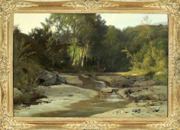 Felsiger Bachlauf In Bewaldeter Landschaft Mit Rehen - view 1