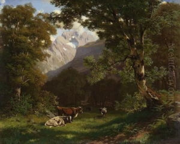 Kuhe Auf Einer Waldlichtung - view 1