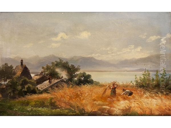 Getreideernte Am Starnberger See Mit Bauernhausern - view 1