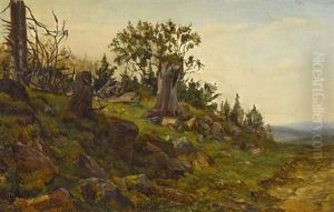 Naturstudie Naturstudie