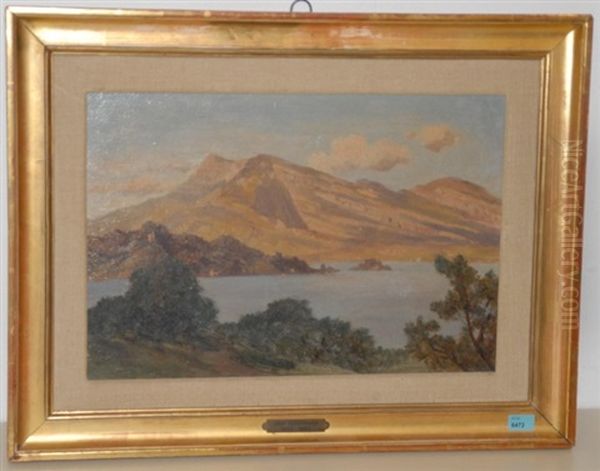 Landschaftsstudie Am Vierwaldstattersee - view 1
