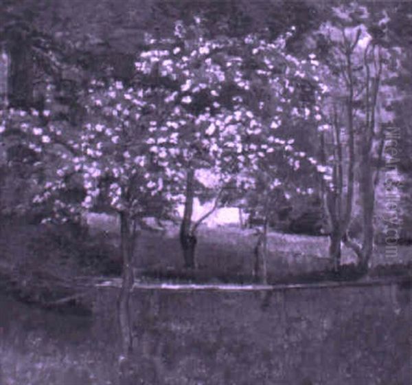 Bluhender Obstbaum - view 1