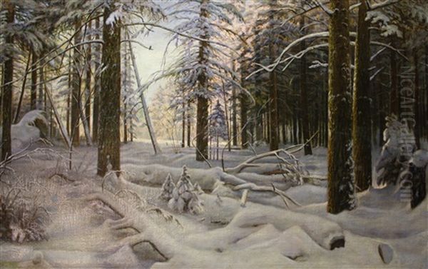 Paysage Enneige - view 1