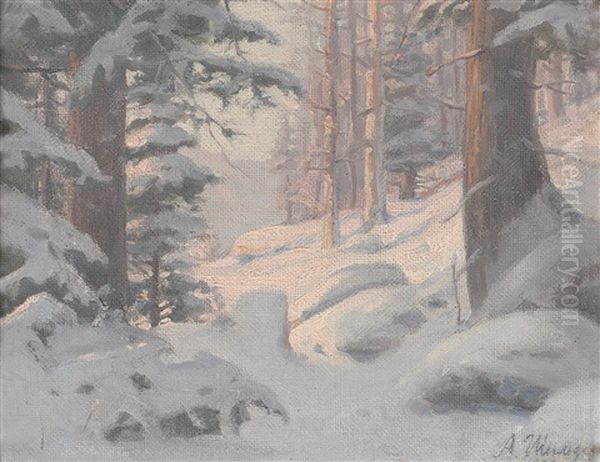 Winterlandschaft - view 1