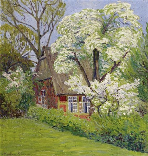 Fruhjahrsblute In Einem Bauerngarten In Fischerhude - view 1