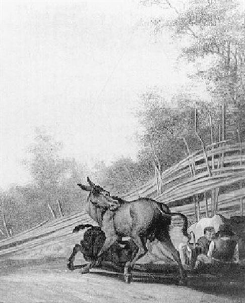 Ezelsveulen Drinkt Bij Moeder - view 1