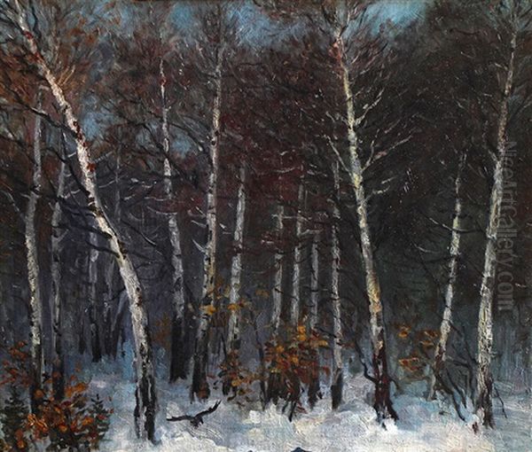 Winterlicher Birkenwald - view 1