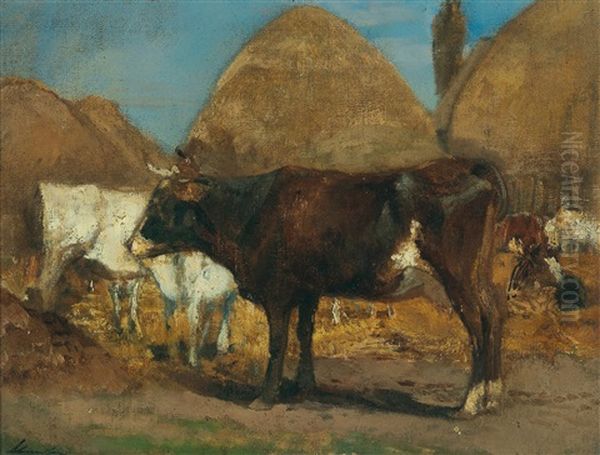 Cows - view 1