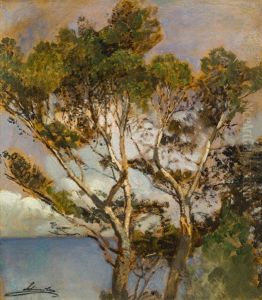 Trees By The Ocean Trees By The Ocean