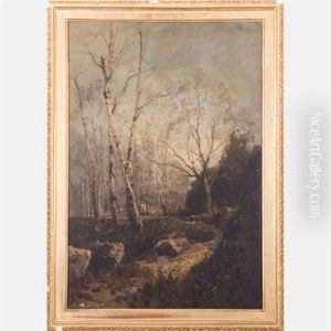 Forest Scene Forest Scene