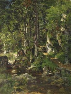 Waldweg Waldweg