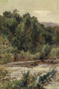 Sommerlandschaft Sommerlandschaft