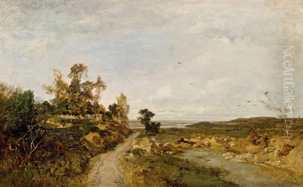 Herbstlandschaft An Der Donau - view 1