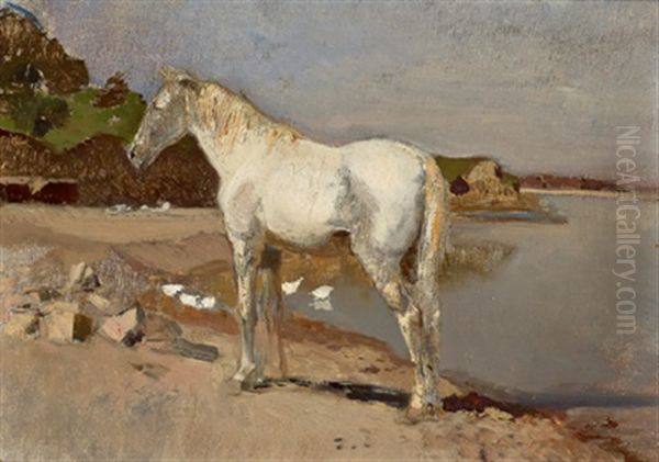 Stehender Schimmel Am Flusufer - view 1