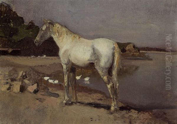 Pferd - view 1