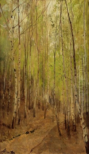 Birkenwald - view 1