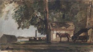 Kaisermuhlen An Der Donau