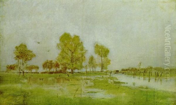 Sumpflandschaft - view 1