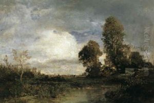 Teichufer (im Hintergrund Blick Auf Ein Dorf) Teichufer (im Hintergrund Blick Auf Ein Dorf)
