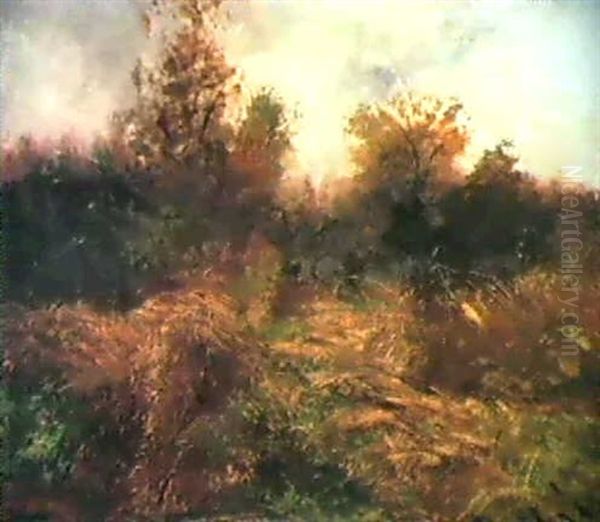 Getreidefeld Nach Einem Gewitterregen - view 1