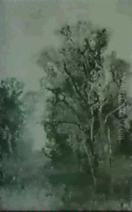 Waldweg Waldweg