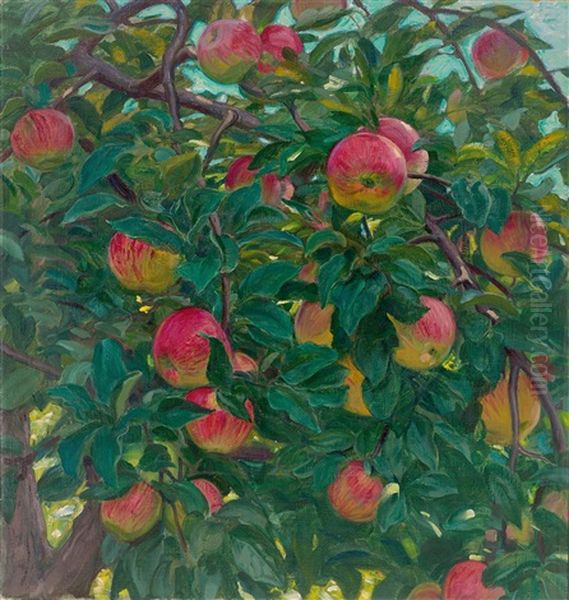 Apples In The Tree - view 1