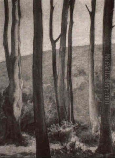 Landscape - view 1