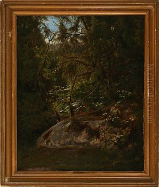 Forest Scene From Bornholm Island, Denmark - view 1