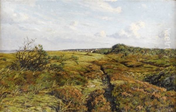 Untitled - Landscape - view 1