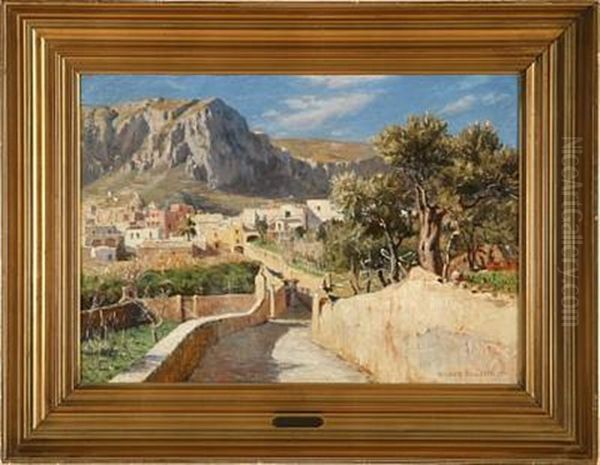 Sunny Day On Capri, Italy - view 1