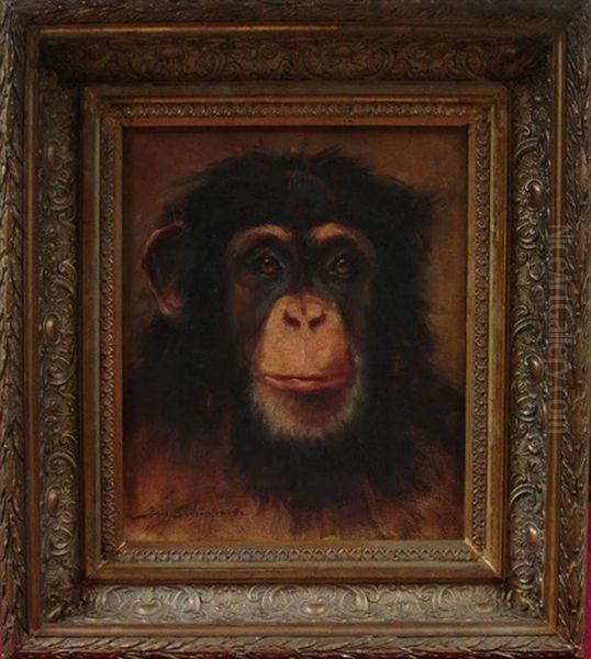 Chimpanzee - view 1