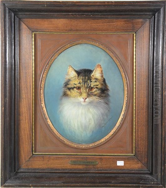 Tete De Chat - view 1