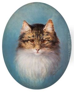 Tete De Chat
